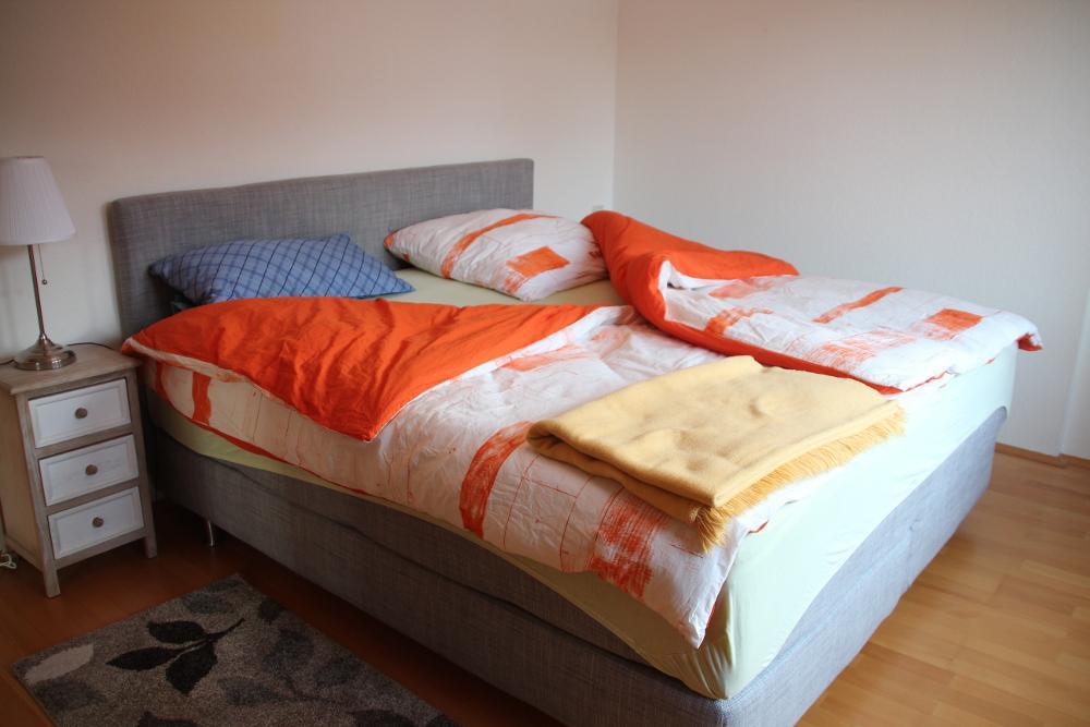 Apartment Am Fluss/Park Lipcse Kültér fotó